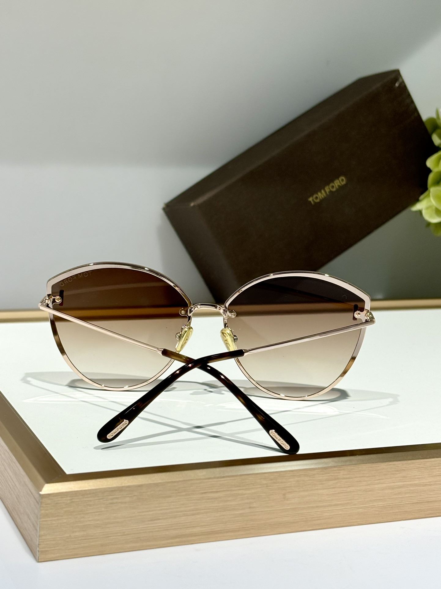 Tom Ford Sunglasses